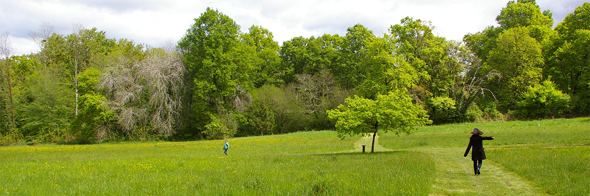 Bois Desfonseau, Cénac (33)