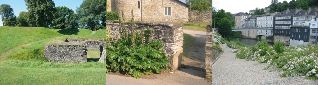 Conduire une gestion alternative des espaces verts à l'échelle communale - Formation du CAUE des Pyrénées-Atlantiques