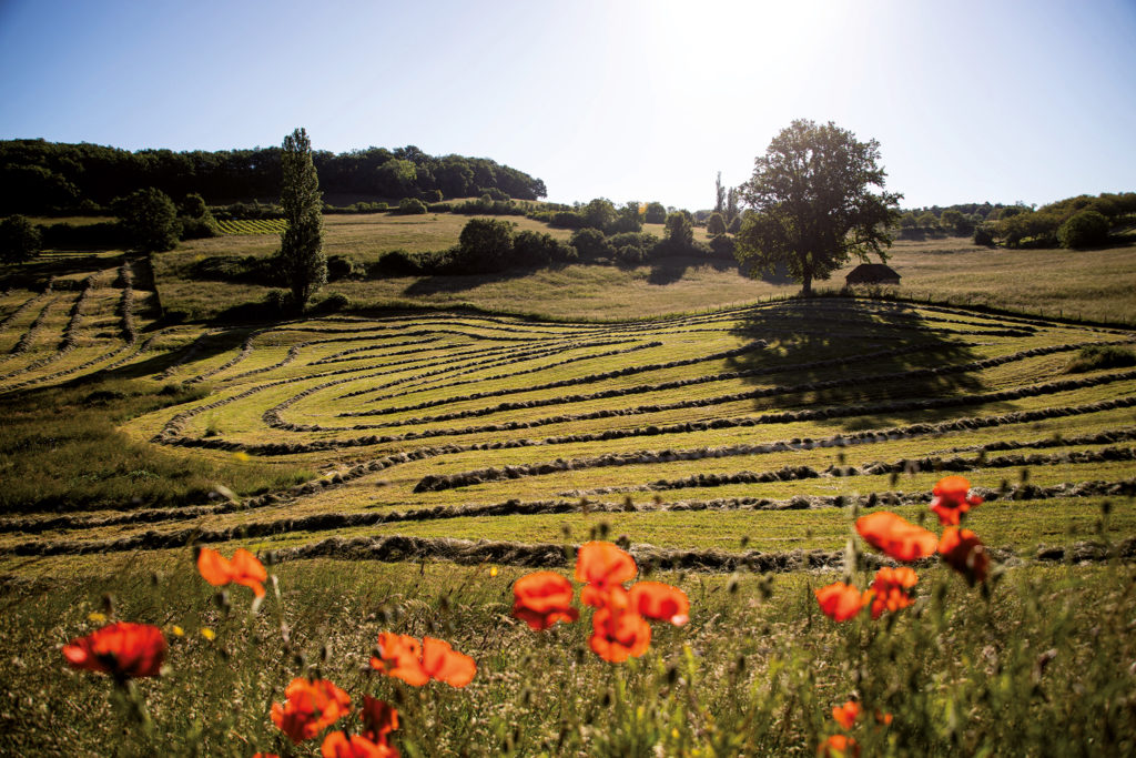 L'odeur des foins - Ladornac (24) © Josiane Glaudon