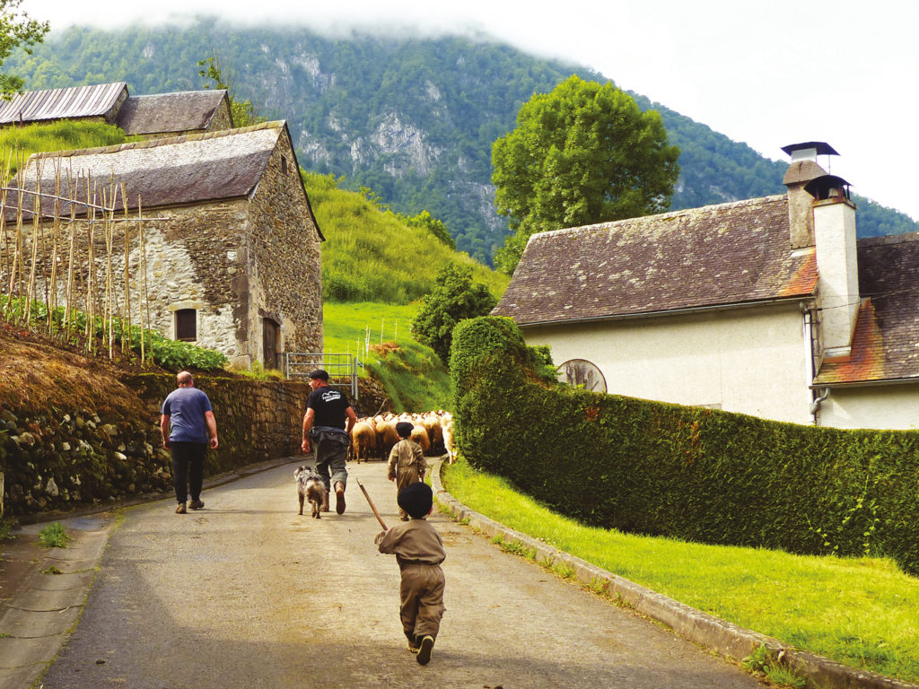 La fête de la transhumance - Lourdios-Ichère (64) © Anne Foussat