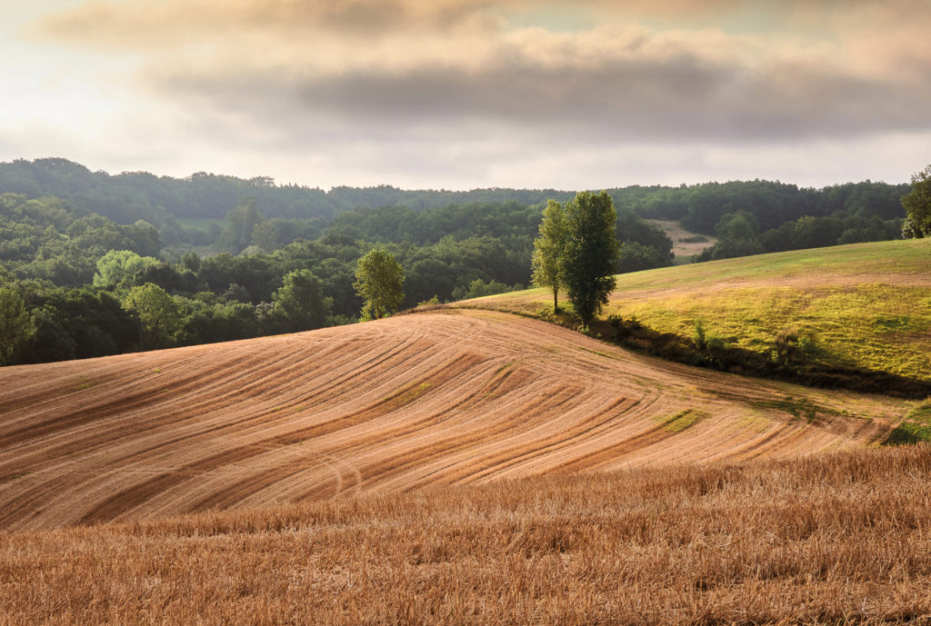 Dondas ma Toscane - Dondas (47) © Jean-Pierre Mazel
