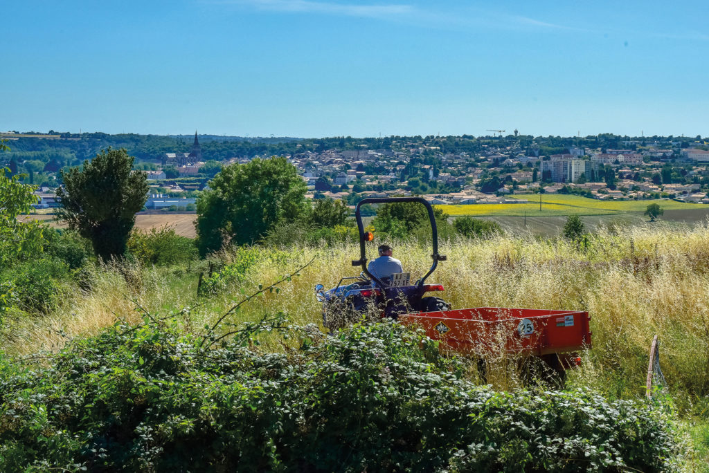 Vue sur Saint-Maixent - Exireuil (79) © Fabrice Joubert
