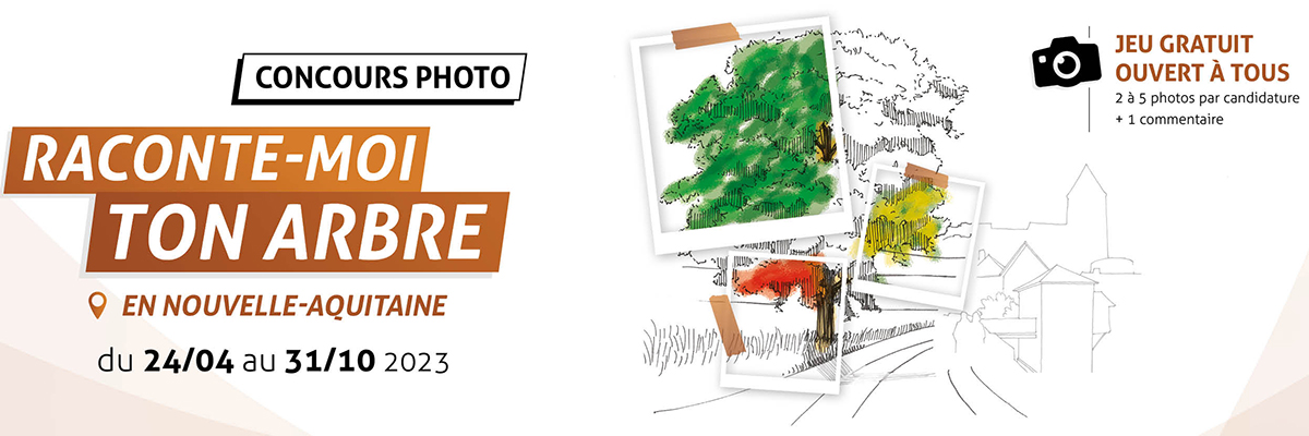 Bandeau du concours "Raconte-moi ton arbre"