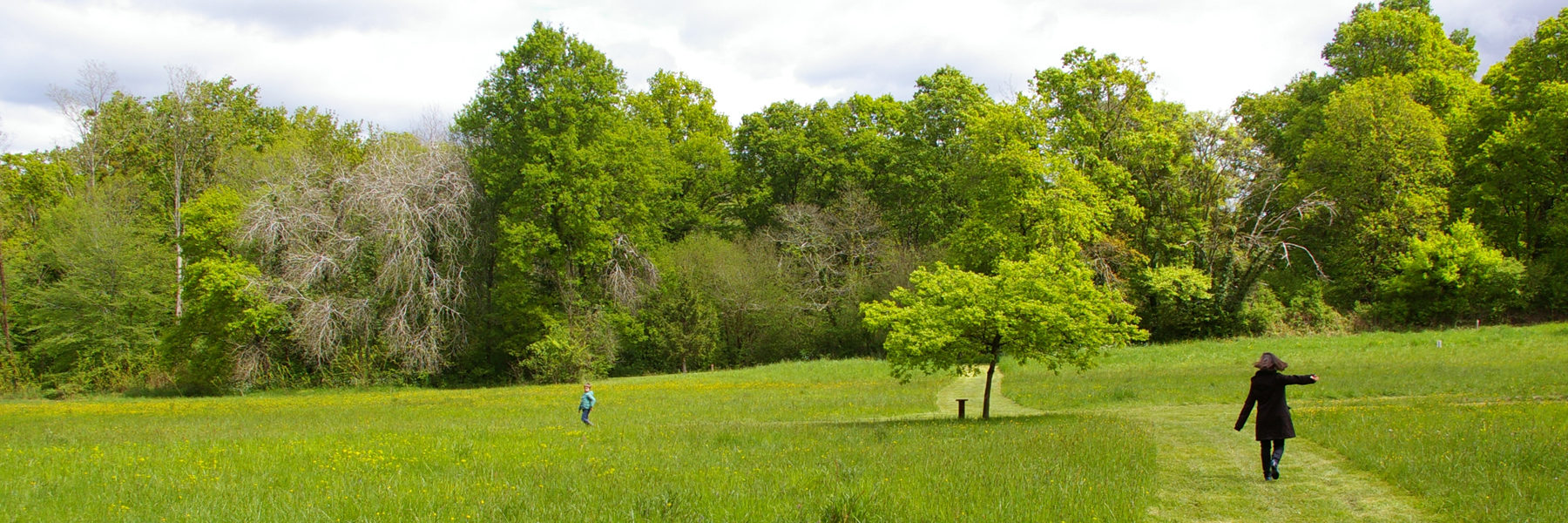 Bois Desfonseau, Cénac (33) 